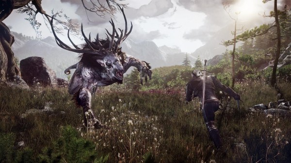 The-Witcher-3-Wild-Hunt-Screen-25