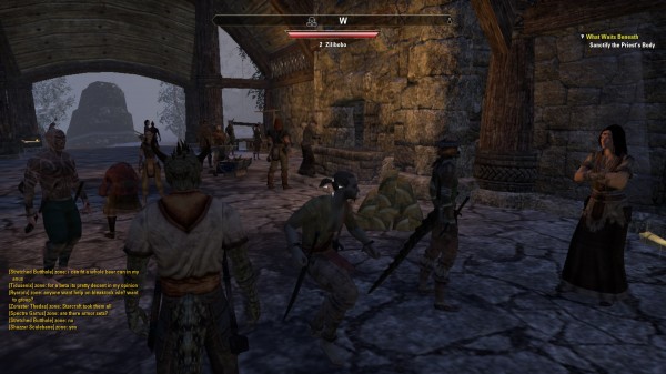 elder-scrolls-online-screenshot-004