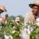 Academy Award Winning 12 Years a Slave on Home Media June 4