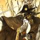 Sentai Filmworks Acquires ‘Vampire Hunter D’