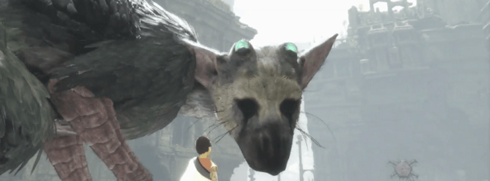 the last guardian psn