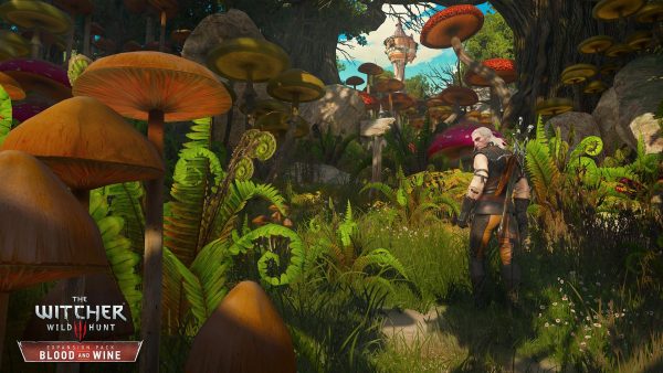 The-Witcher-3-Wild-Hunt-Blood-and-Wine-screenshot- (3)