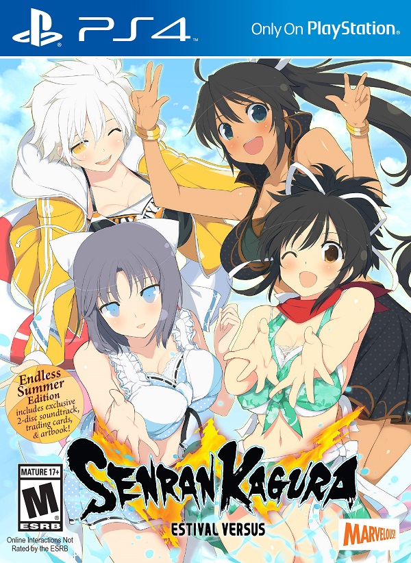 Senran Kagura: Shinovi Versus (PC) Review