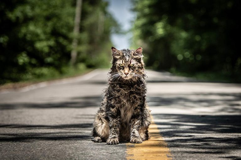 New Trailer & Poster Released For Pet Sematary