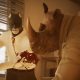 Blacksad: Under the Skin Releasing on September 26