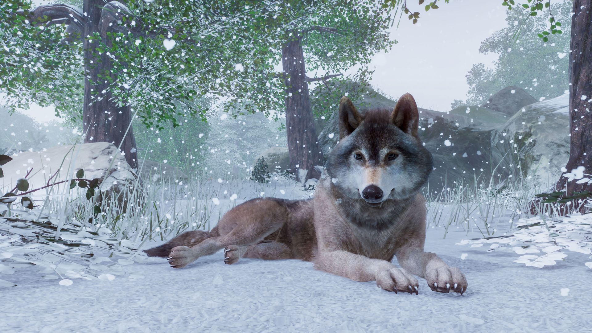 planet-zoo-screenshot-001