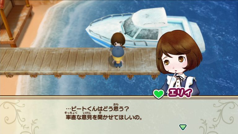 Story of Seasons: Friends of Mineral Town Screenshots Highlight Mary, Elli, and More
