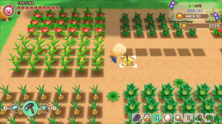 Story of Seasons: Friends of Mineral Town Screenshots ...