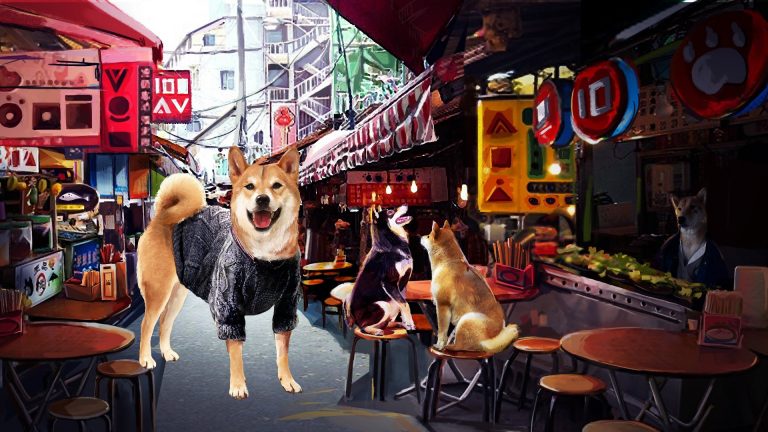 Solve A Bark Mystery In A Summer with the Shiba Inu