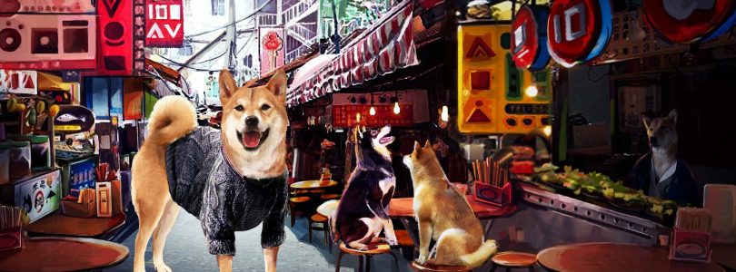 Solve A Bark Mystery In A Summer with the Shiba Inu