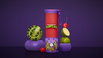 Teenage Mutant Ninja Turtles BlendJet 2 Portable Blender: Impressions