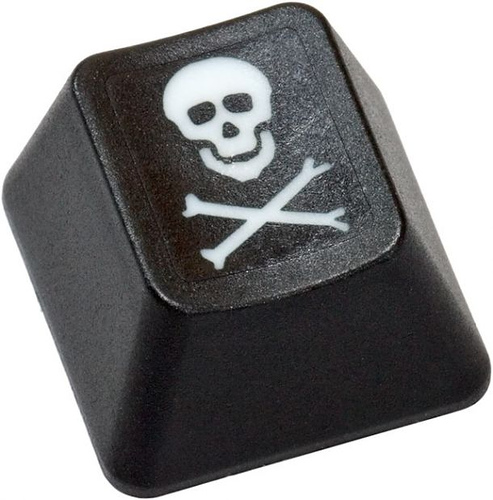 Sony – The Piracy Battle