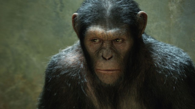 Rise-of-the-Planet-of-the-Apes-screenshot-04