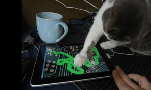 iPad-Games-For-Cats