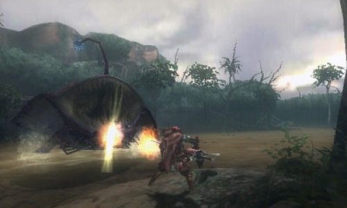 Monster Hunter 3G to only have local play